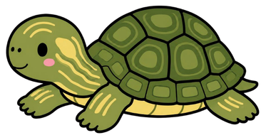tortuga logo